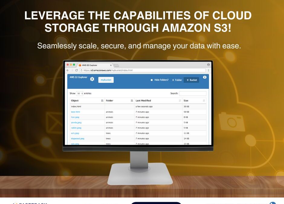 Harness the capabilities of cloud storage through Amazon S3!