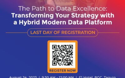 The Path to Data Excellence